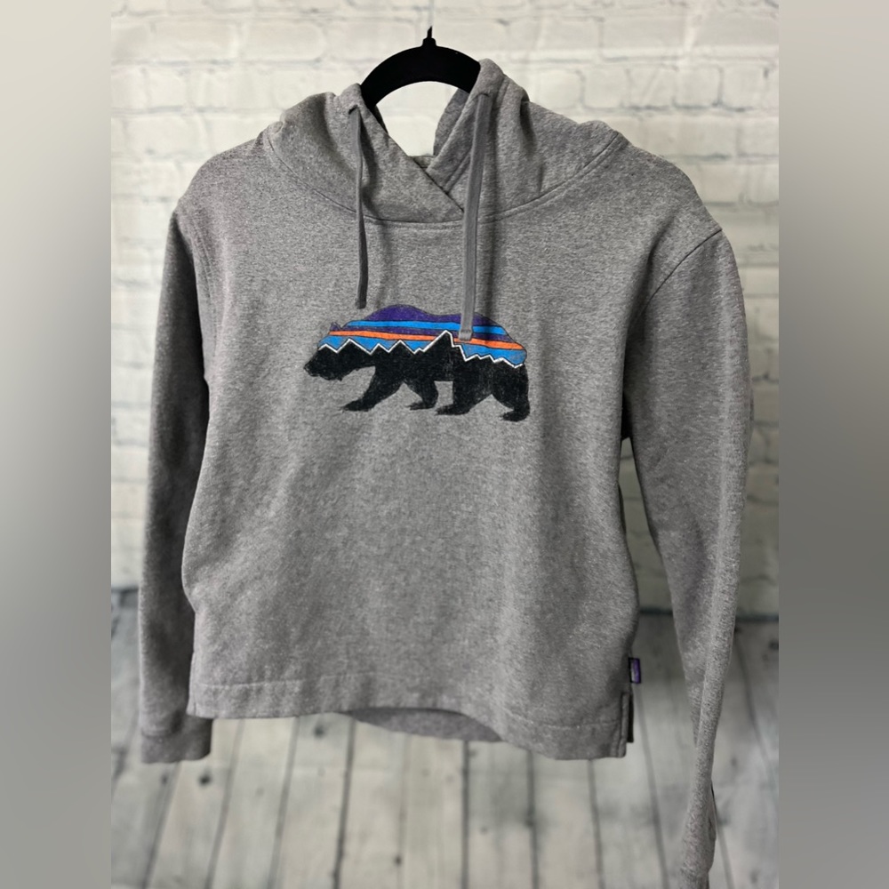 Patagonia Roy Bear Uprisal Hoodie | Sz XS